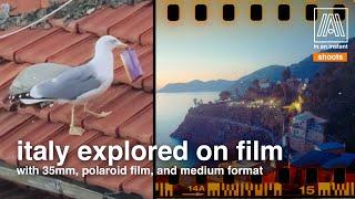 A bird stole my film & flew away with it -- and other tales from Italy on film   ️