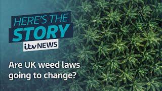 Are UK cannabis laws going to change? | ITV News