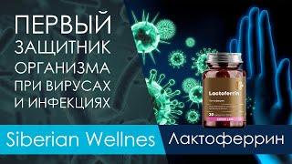 ОБЗОР. Лактоферрин - Expert Line Siberian Wellness. Мощная поддержка иммунитета