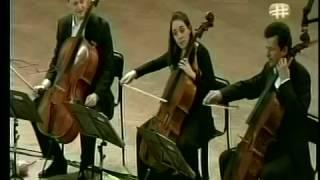 The 12 Cellists of the Berliner Philharmoniker-Mas que nada & Pink Panther