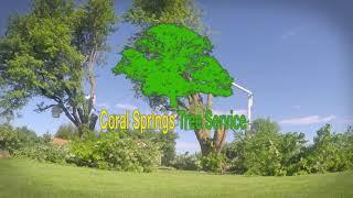 Coral Springs Tree Service Commercial Ad