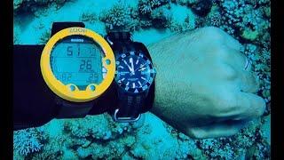 A diver's guide to dive watches!