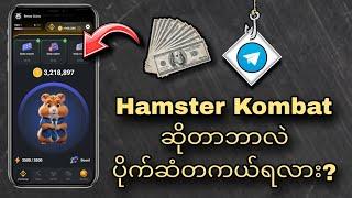 Hamster Kombat အကြောင်း Hamster Bot ကဘာလဲ ပိုက်ဆံတကယ်ရလား?