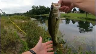 How to fish a Zoom Super Fluke.