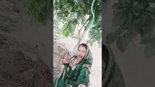 Milan jaisa kam Na kar