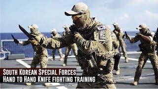 South Korean Special Forces / Hand to Hand Knife fighting training