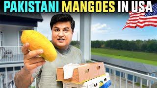 Finally Pakistani  MangoesAmerica Aa Gaye ( VERY EXPENSIVE )