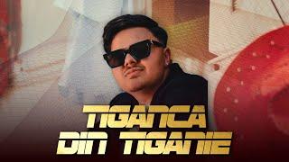 Alberto Guta - Tiganca din Tiganie | Bounce