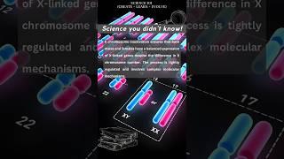 X chromosome Inactivation simplified