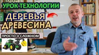 Дистанционный урок по ТЕХНОЛОГИИ. Дерево и древесина.