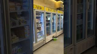 Visi coolers || visi cooler | deep freezer repair in ludhiana | commercial fridge repair in ludhiana