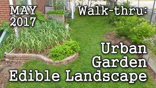 2017 May Urban Garden, Edible Landscaping -  Albopepper Memorial Weekend Walk-through Tour