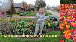 How to create a breath taking tulip landscape