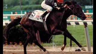 RISEN STAR - Belmont Stakes 1988