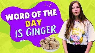 HCB TV PRESENTS  || The Word of the Day is Okra Ginger || Benefits of Ginger