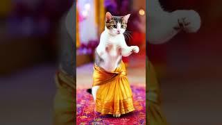 Cuteness Overload: Dancing Cat Edition! "**      #CutenessOverload #CatEdition #FunVideos
