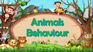 Animals Behaviour-Innate or Instinct and Learned behaviour With Examples