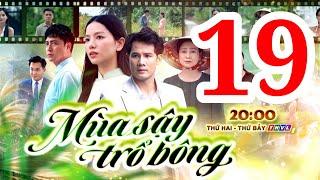 MÙA SẬY TRỔ BÔNG - TẬP 19 | FULL