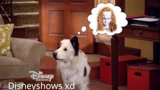 Dog With A Blog Pod People From Pasadena Full Episode HD