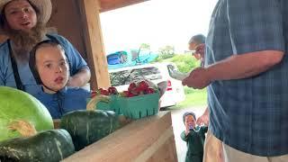 我每周去美国阿米什民族的农场买低价有机蔬菜，比超市便宜I went to the American Amish farm  buy cheap organic vegetables, cheaper