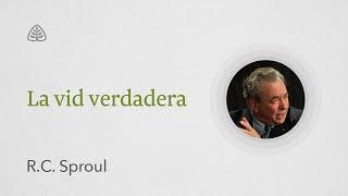 La vid verdadera: Renovando Tu Mente con R.C. Sproul