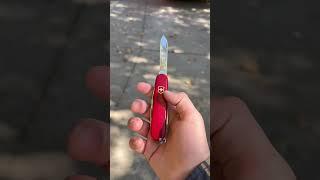Thursday carry #edc #staysharp #knifeknerd