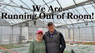 Greenhouses are FULL! Spring Flower Greenhouse Tour