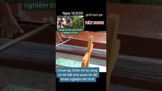Khám nghiệm tử thi nghi giết bạn gái . Để điều tra Tây Ninh  - #gianguyen007