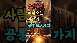 "말년 복이 따라오는 사람의 공통점 5가지" #부처님말씀 #불교명언 #삶의지혜 #인생조언 #처세술 #감정정화 #불교지혜 #마음공부 #인간관계 #오디오북