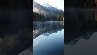 Your Daily Dose of Serenity ️