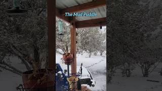 Snow day in northern AZ...off the grid