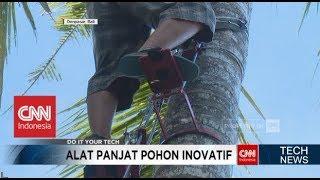 Pakai Ponkod! Cara Mudah dan Aman Memetik Buah Kelapa - TechNews