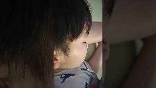 꿈나라 버미