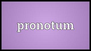 Pronotum Meaning