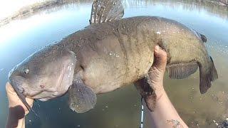 Vlog #18: Flooded River Big Channel Catfish Fishing