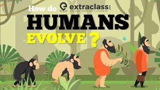 How Do Humans Evolve | Extraclass.com