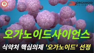 [오가노이드사이언스 분석] 매수타점은 '이렇게' 잡아보세요. #오가노이드사이언스