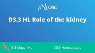 D3.3 HL Role of the Kidney [IB Biology HL]