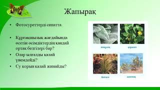 3 класс      Жаратылыстану      Тақырыбы:  Өсімдік тіршілігіне судың әсері