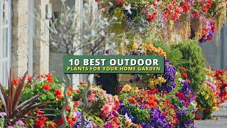 10 Best Outdoor Plants for Your Home Garden 