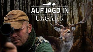 Die Jagd nach den Abnormen Damhirschen | JÄGER mit Chris Balke zur Brunft