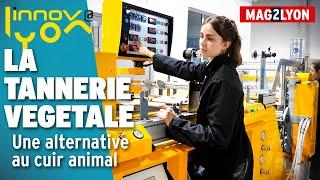 Une alternative végétale au cuir animal, c'est possible !