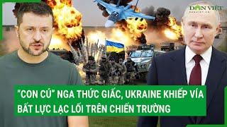 Toàn cảnh thế giới: Bí ẩn “con cú” Nga thức giấc, Ukraine khiếp vía, lạc lối trên chiến trường