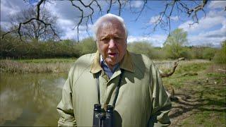 Sir David Attenborough named COP26 People’s Advocate ahead of UN climate change summit