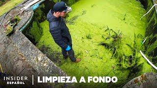 Cómo se limpian los fondos de las piscinas en profundidad | Limpieza a fondo | Insider Español