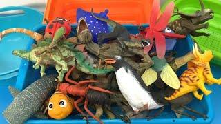 Toy Sorting Fun - Sea Animals, Dinosaurs, and Insects for Kids