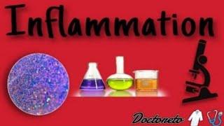 General Pathology ( Inflammation 2)