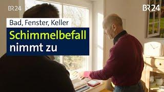 Schimmel in Häusern – ein immer größeres Problem | Abendschau | BR24