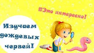 Кто они дождевые черви? Изучаем дождевых червей с детьми)