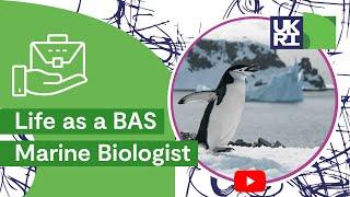 Life as a BAS Marine Biologist | Science careers